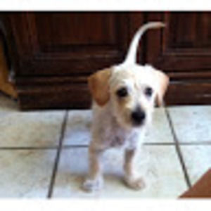 Meet your Posher, Ivanna